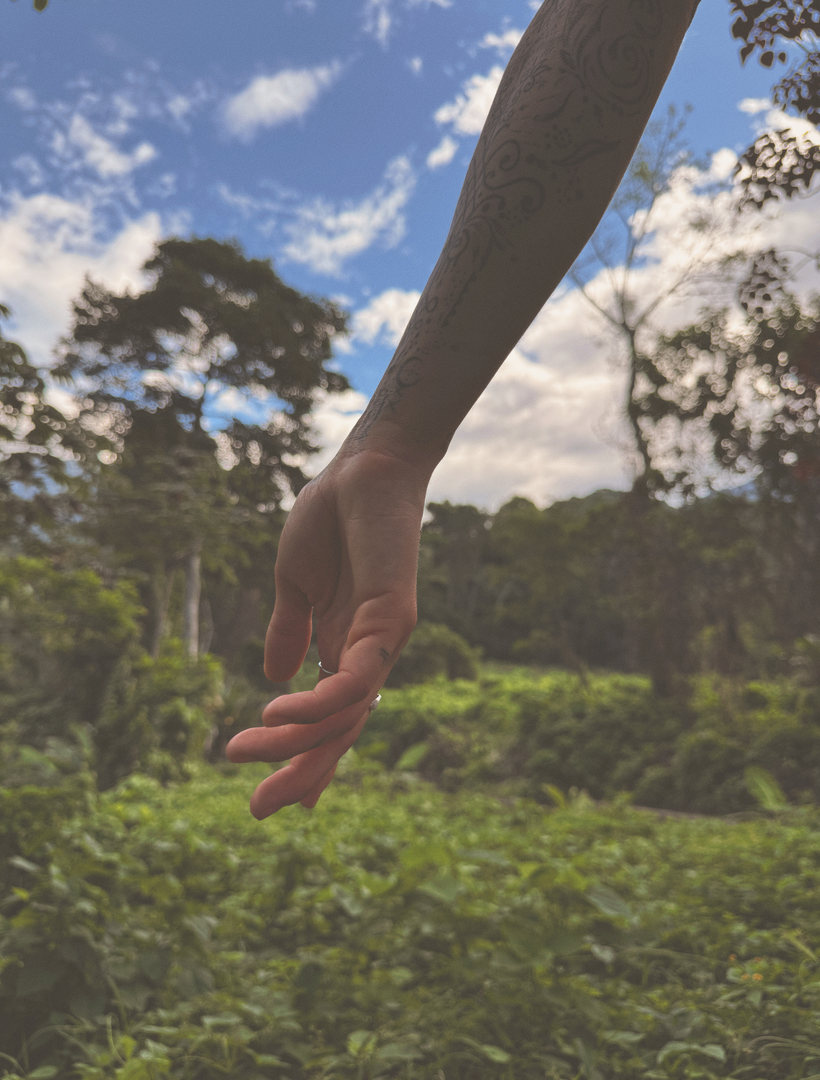 Skye's arm reaching out over the green valley, palm open.